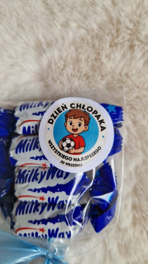 LIZAK upominek PREZENT dla dzieci DO SZKOŁY, PRZEDSZKOLA, PODZIEKOWANIE